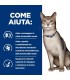 Hill's Prescription Diet Gatto kidney care k/d 12 buste 85 gr manzo