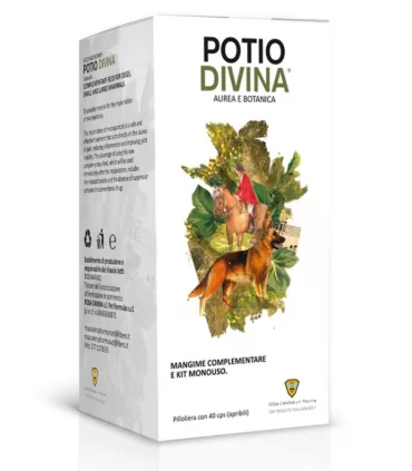 Rosa canina potio divina 40 capsule
