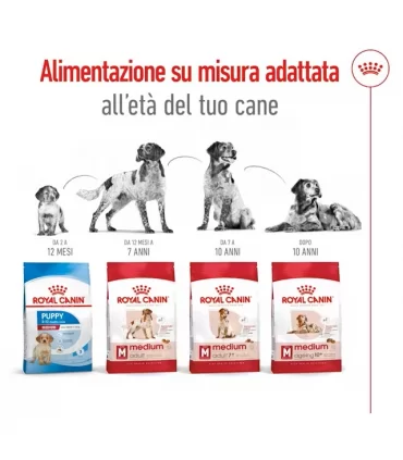 Royal canin medium adult cane 15 kg