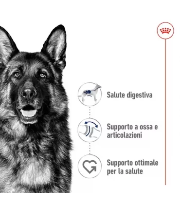 Royal canin maxi adult cane 15 kg