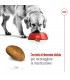 Royal canin maxi adult cane 15 kg