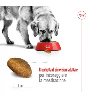 Royal canin maxi adult cane 15 kg