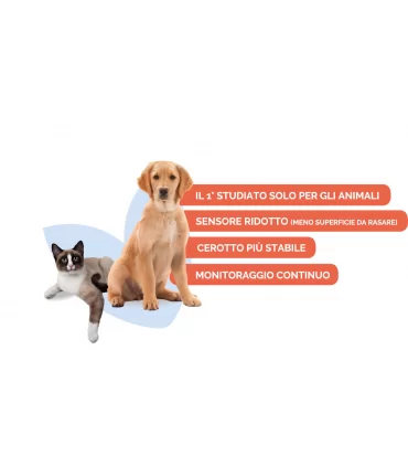Furcarer CGM for Pets sistema di monitoraggio continuo per il glucosio di cani e gatti