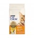 Purina cat chow adult pollo 10 kg