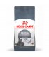 Royal canin gatto dental care 1,5 kg
