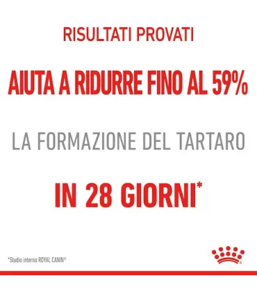 Royal canin gatto dental care 1,5 kg