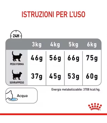 Royal canin gatto dental care 1,5 kg