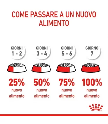 Royal canin gatto dental care 1,5 kg