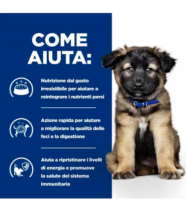Hill's Prescription Diet puppy digestive care i/d con pollo 360 gr