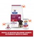 Hill's Prescription Diet puppy digestive care i/d con pollo 4 kg