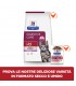 Hill's Prescription Diet kitten digestive care i/d con pollo 400 gr