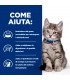 Hill's Prescription Diet kitten digestive care i/d con pollo 3 kg