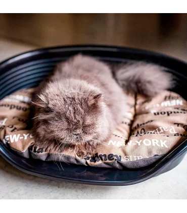 Ferplast relax 55/4 cuscino città marrone