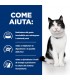 Hill's Prescription Diet gatto i/d digestive care 400 gr