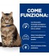 Hill's Prescription Diet Gatto Gastrointestinal biome digestive fibre care pollo 1,5 kg