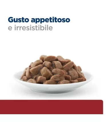 Hill's Prescription Diet Gatto Gastrointestinal biome digestive fibre care pollo 300 gr