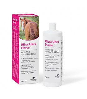 Nbf lanes ribes ultra horse shampoo balsamo 1 litro