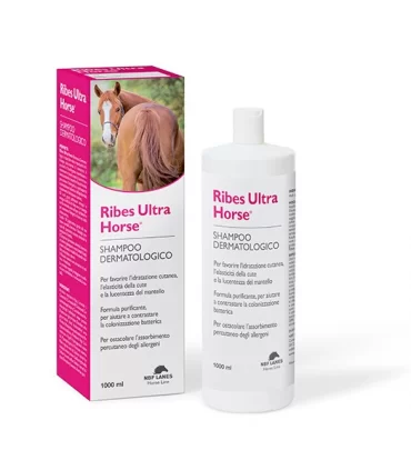 Nbf lanes ribes ultra horse shampoo balsamo 1 litro