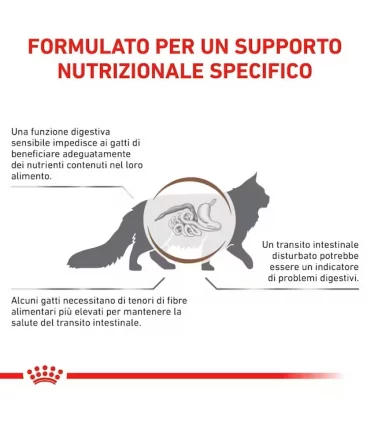 Royal canin gastrointestinal fibre response gatto 12 buste 85 gr
