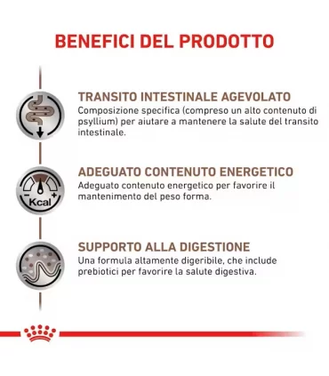 Royal canin gastrointestinal fibre response gatto 12 buste 85 gr