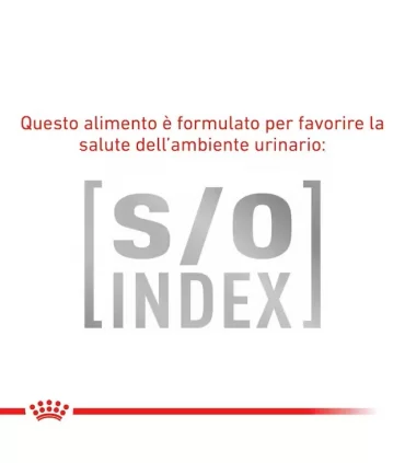 Royal canin gastrointestinal fibre response gatto 12 buste 85 gr