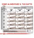 Royal canin gastrointestinal fibre response gatto 12 buste 85 gr