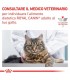 Royal canin gastrointestinal fibre response gatto 12 buste 85 gr