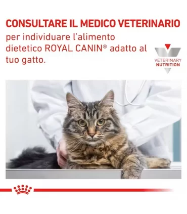 Royal canin gastrointestinal fibre response gatto 12 buste 85 gr