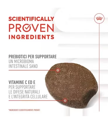 Royal Canin Immunity & Digestion puppy supplements 100 gr