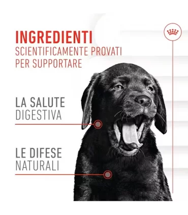 Royal Canin Immunity & Digestion puppy supplements 100 gr