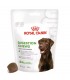 Royal Canin digestion adult supplements 160 gr