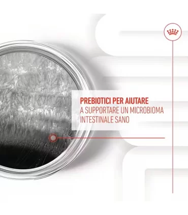 Royal Canin digestion adult supplements 160 gr