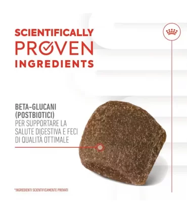 Royal Canin digestion adult supplements 160 gr