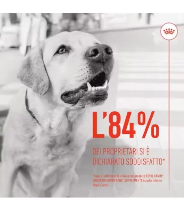 Royal Canin digestion adult supplements 160 gr