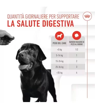 Royal Canin digestion adult supplements 160 gr