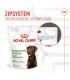 Royal Canin digestion adult supplements 160 gr