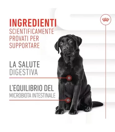 Royal Canin digestion adult supplements 160 gr