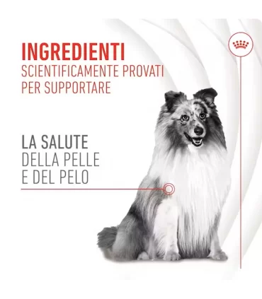 Royal canin Skin & Coat adult supplements 240 gr