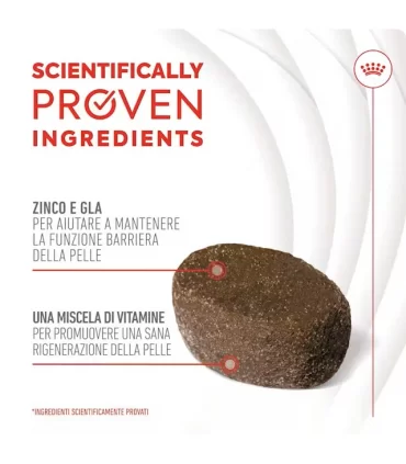 Royal canin Skin & Coat adult supplements 240 gr