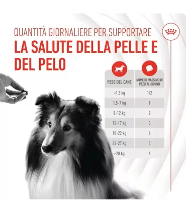 Royal canin Skin & Coat adult supplements 240 gr