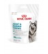 Royal Canin Joint & Ageing adult supplements 240 gr