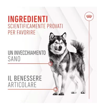 Royal Canin Joint & Ageing adult supplements 240 gr