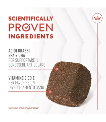 Royal Canin Joint & Ageing adult supplements 240 gr