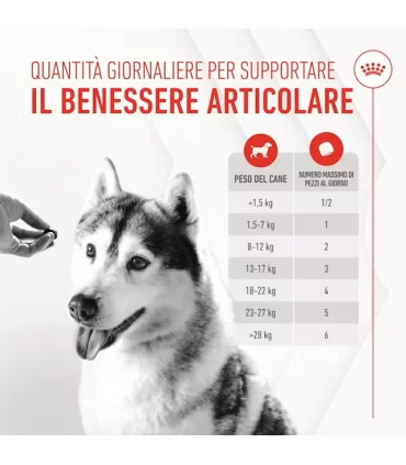 Royal Canin Joint & Ageing adult supplements 240 gr