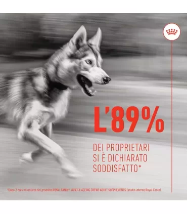 Royal Canin Joint & Ageing adult supplements 240 gr