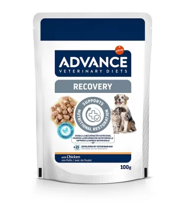 Advance Veterinary Diets cane gatto recovery bustina 100 gr