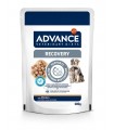 Advance Veterinary Diets cane gatto recovery bustina 100 gr
