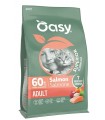 Oasy superior formula gatto adult salmone 300 gr