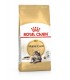 Royal canin gatto adult maine coon 2 kg