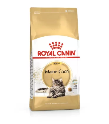 Royal canin gatto adult maine coon 2 kg